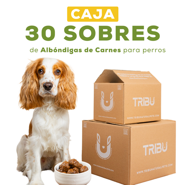 Caja x 30 sobres de Albóndigas 350 g | Alimento para perros