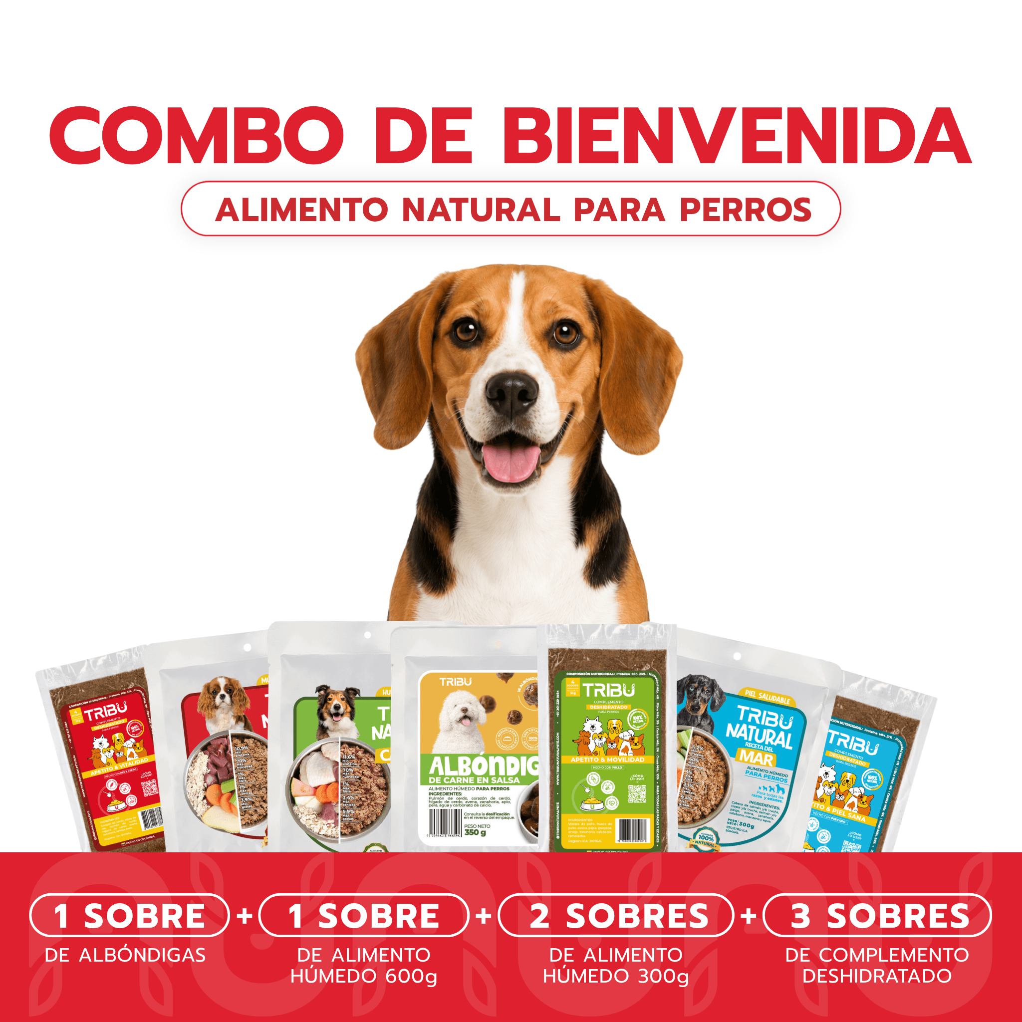 Combo de Bienvenida | Alimento Para Perros
