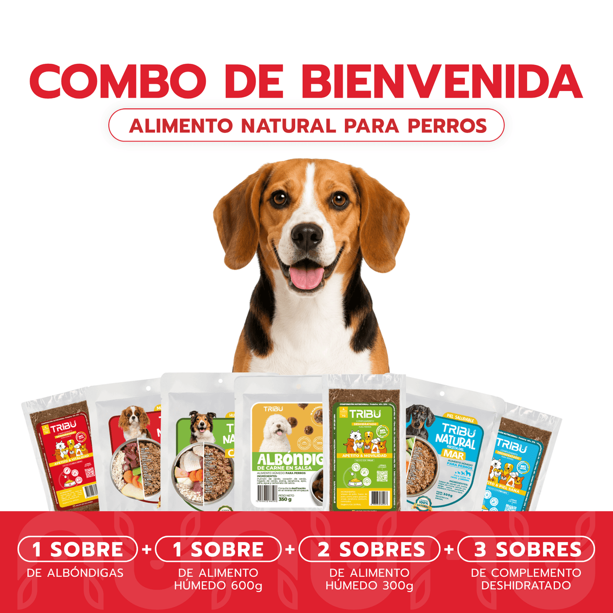 Combo de Bienvenida | Alimento Para Perros