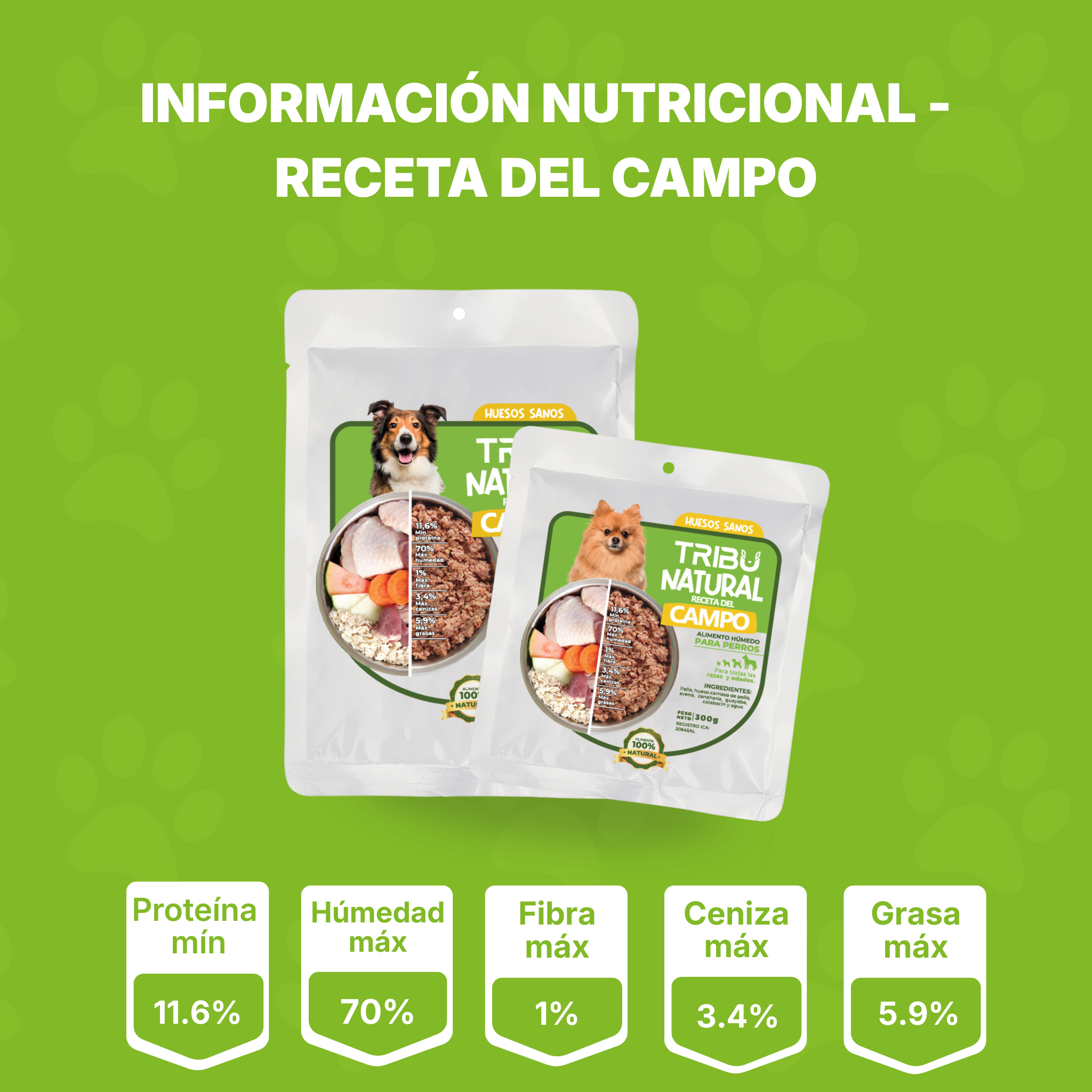 Combo de Bienvenida | Alimento Para Perros