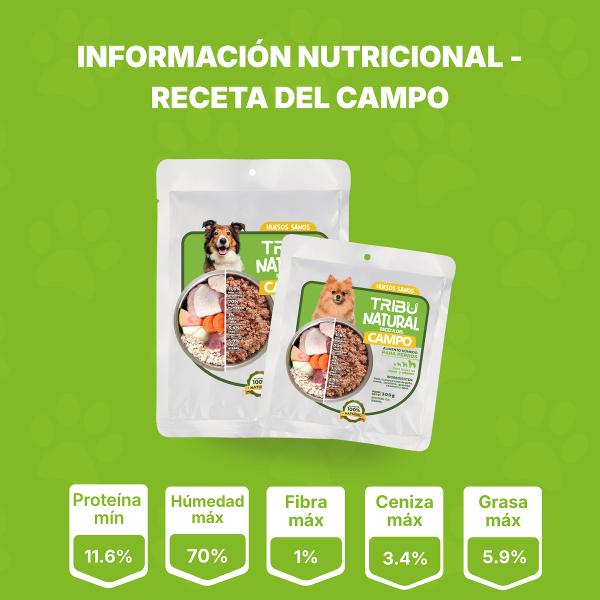 Combo de Bienvenida | Alimento Para Perros