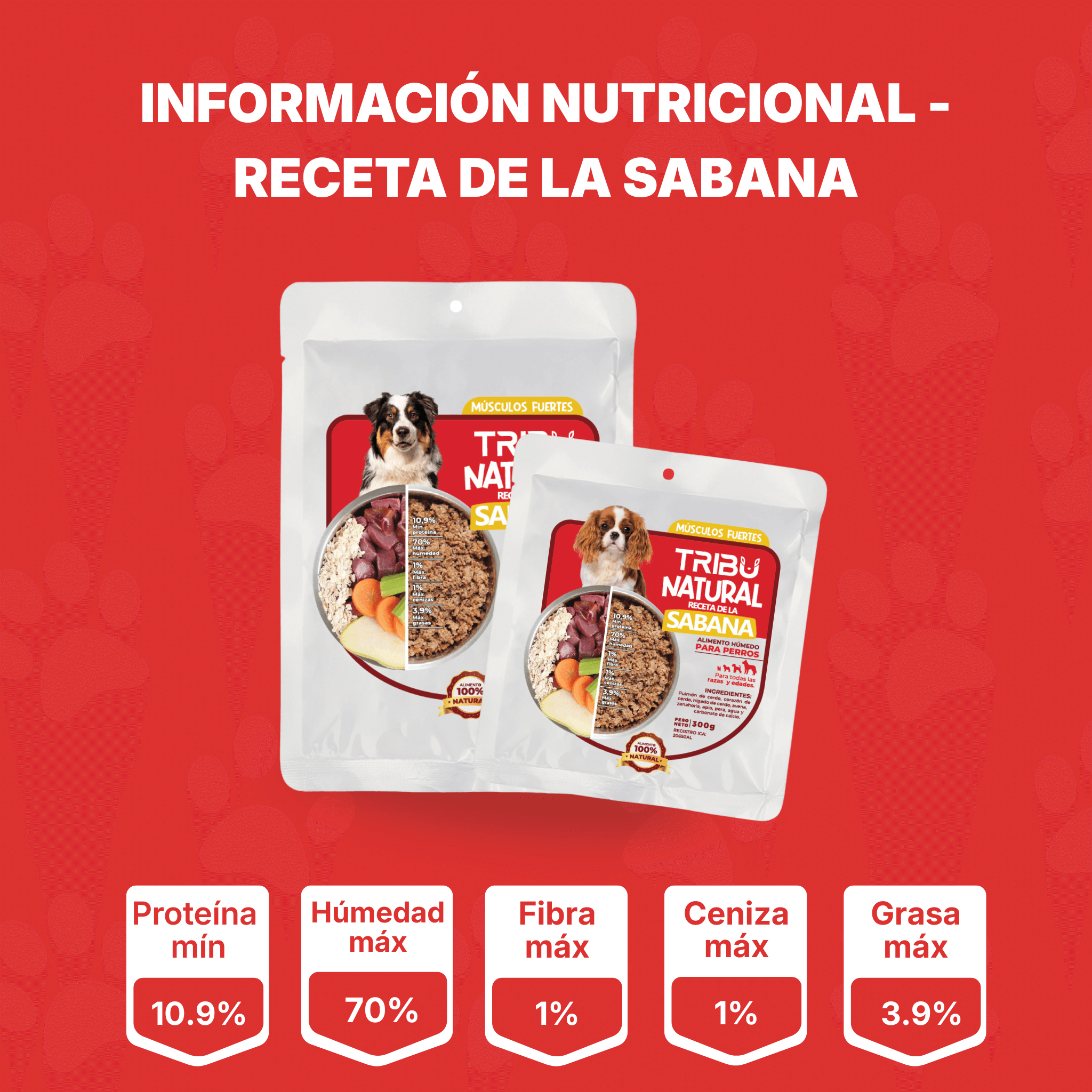 Combo de Bienvenida | Alimento Para Perros