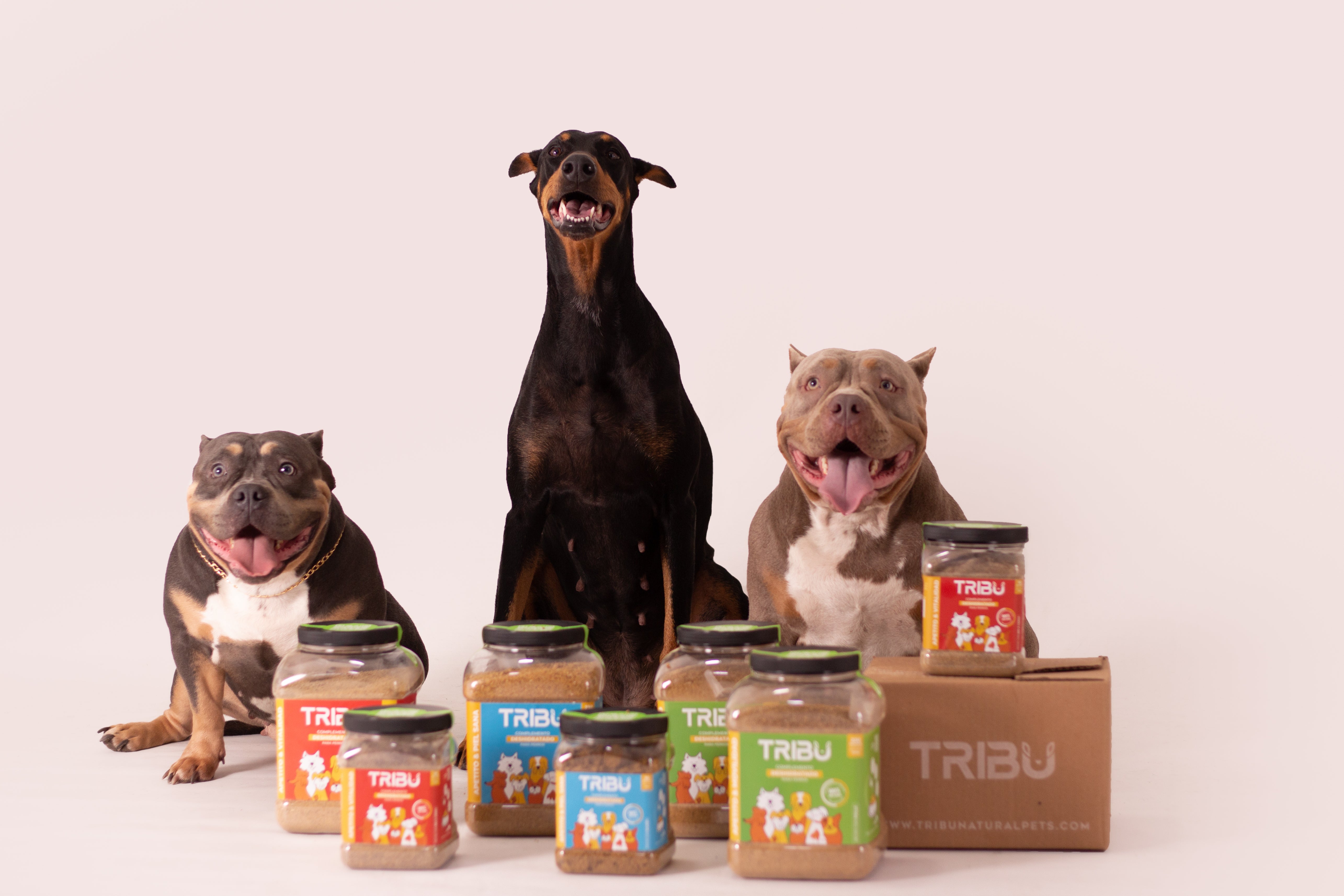 Alimento deshidratado para perros