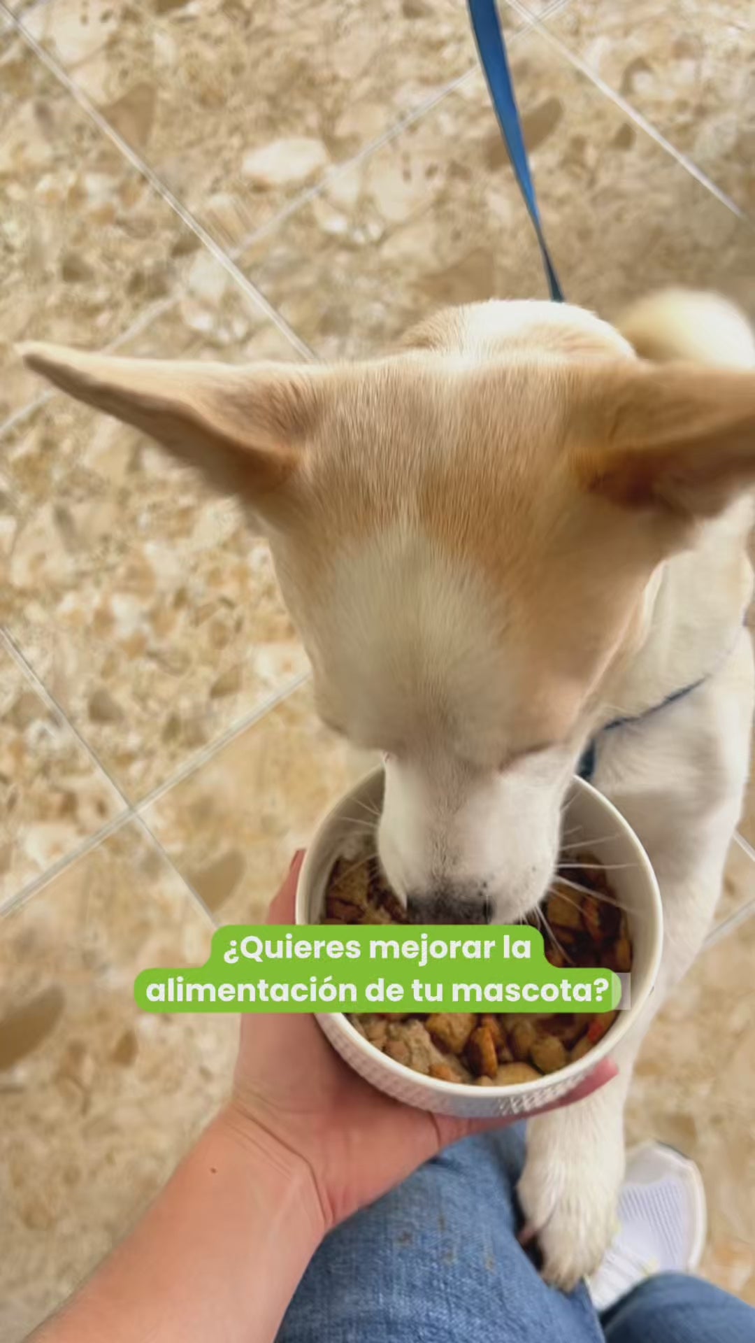 Cómo usar deshidratado.MOV__PID:3558b3e8-1b7c-4f78-9d42-b925b7af4f73